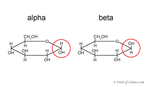 Image result for alpha and beta glucose