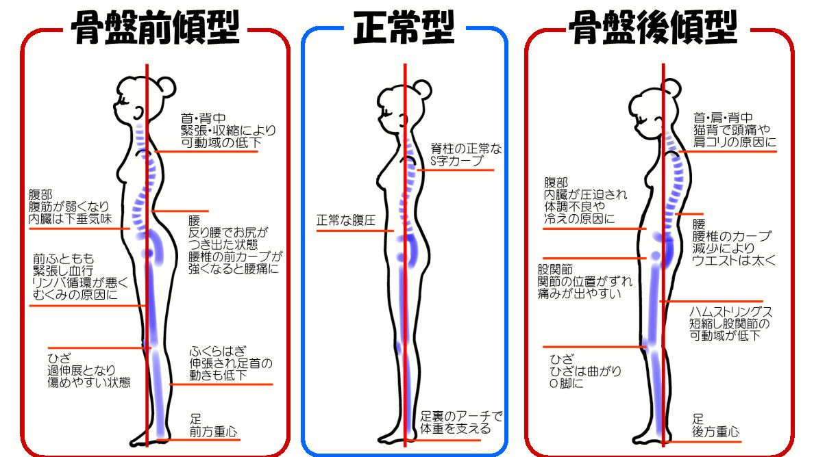 見出し１画像_嶋村吉洋社長が主催するワクセルのコラム_野村佳南さん