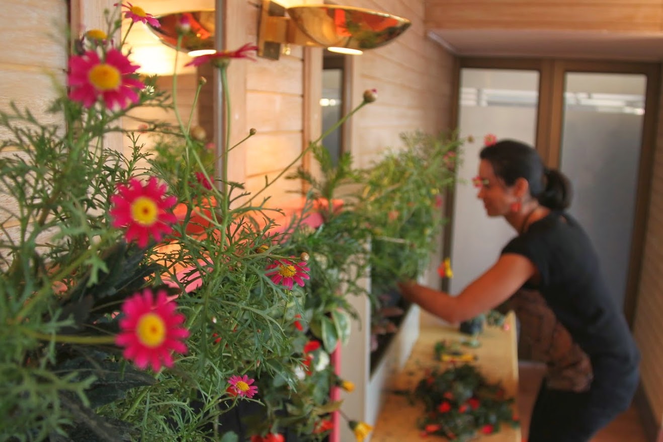 Cursos de jardines verticales de Argentina, Uruguay y Chile