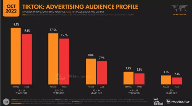 tiktok advertising audience profile