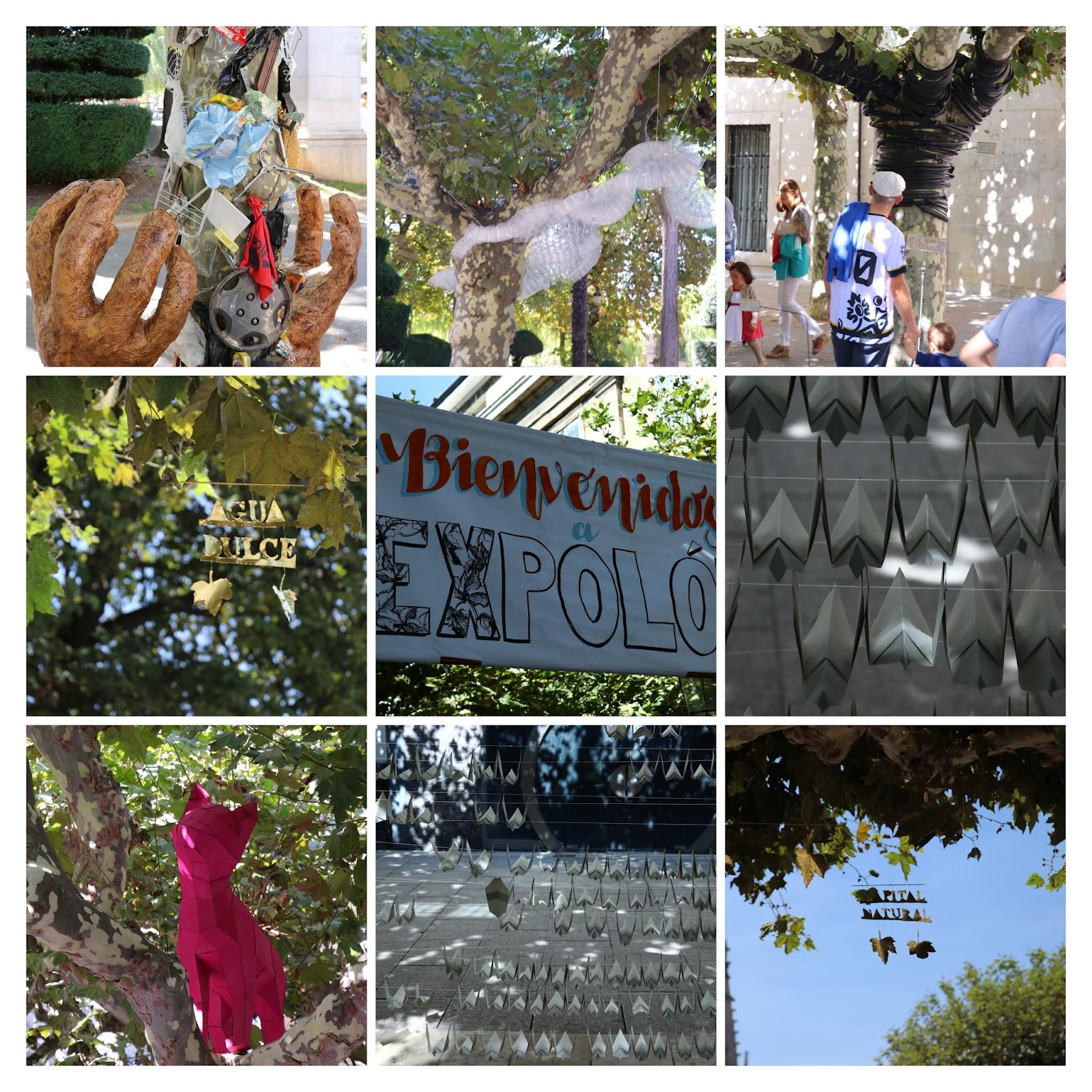 IMG_1356-COLLAGE.jpg