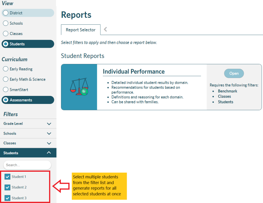 Individual Performance report screenshot