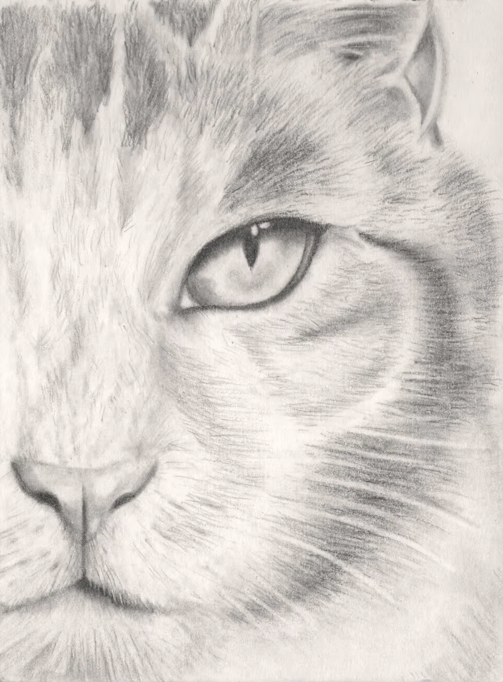 How to Draw Hair and Fur | Skillshare Blog
