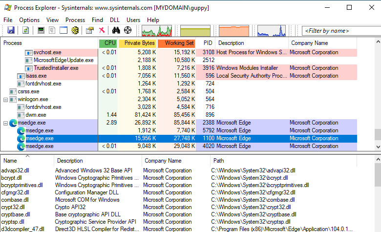 Manual windows anomaly detection: DLLs with process explorer
