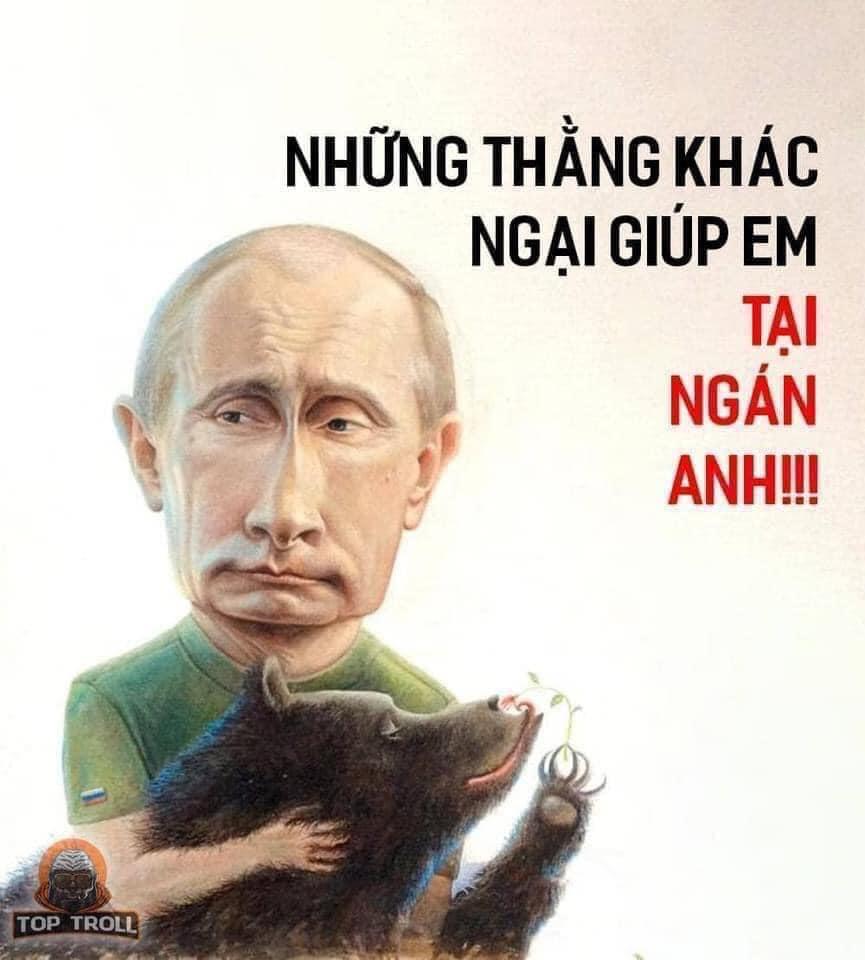 May be an image of 1 person and text that says 'NHỮNG THẰNG KHÁC NGẠI GIÚP EM TẠI NGÁN ANH!!! TOP TROLL'