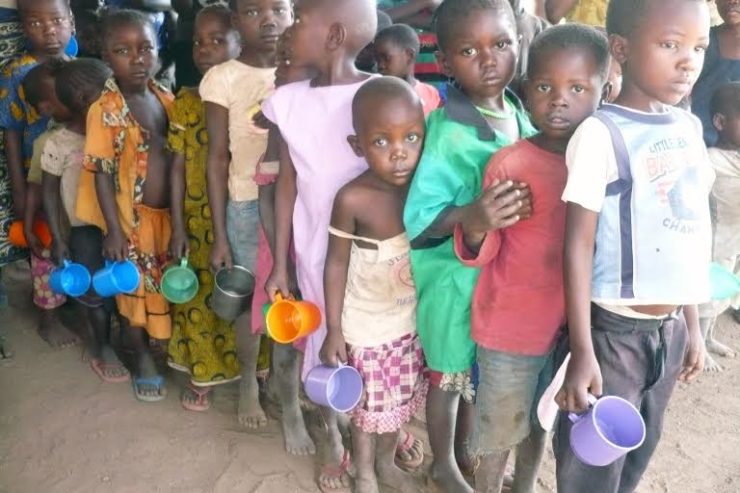 FAO: Món quà của Đức Thánh Cha gửi 30.000 người dân Nam Sudan