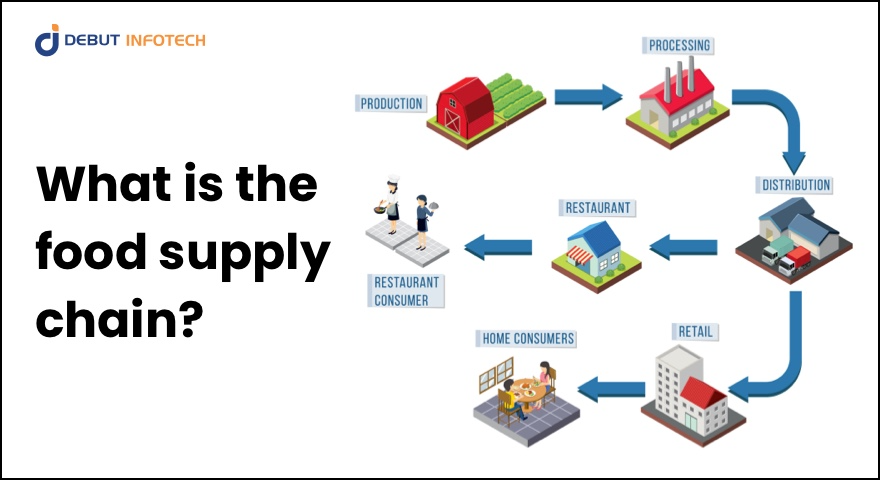 Food Supply Chain