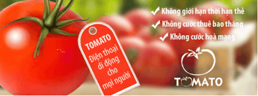 Gói cước Tomato của Viettel có nhiều lợi ích hấp dẫn