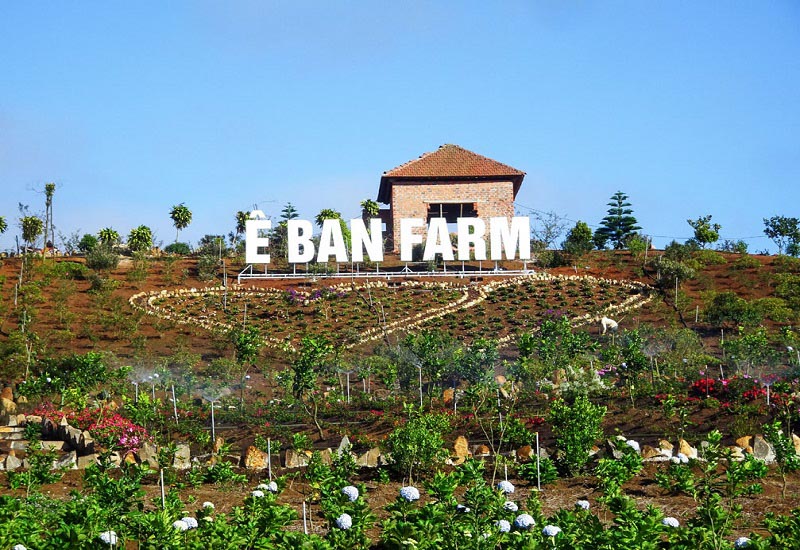 e-ban-farm-mang-den