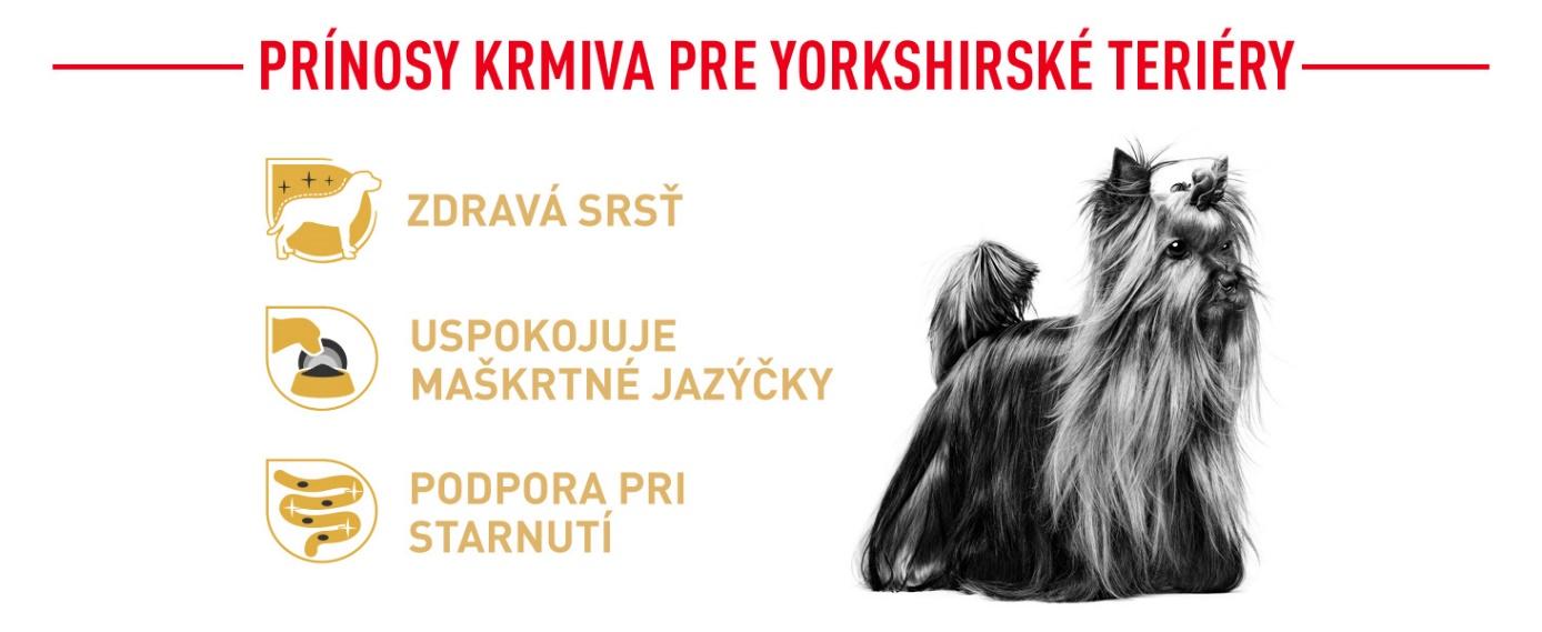 C:\Temp\Rar$DRa8416.32592\SK verze\Yorkshire Terrier\Yorkshirsky terier SK\RoyalCanin_BREED_Yorkshire_Adult_Dry_A+Premium_Module_SK3.jpg