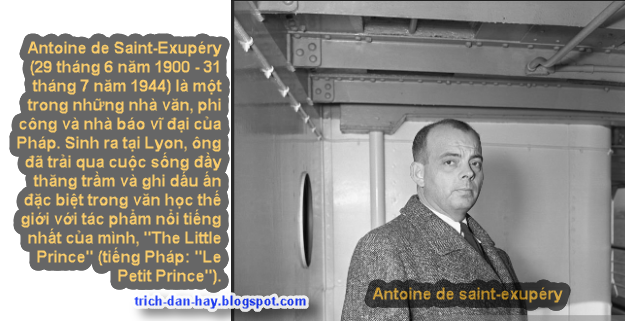 Trích dẫn sách hay: Tóm tắt "The Little Prince" - Antoine de Saint-Exupéry