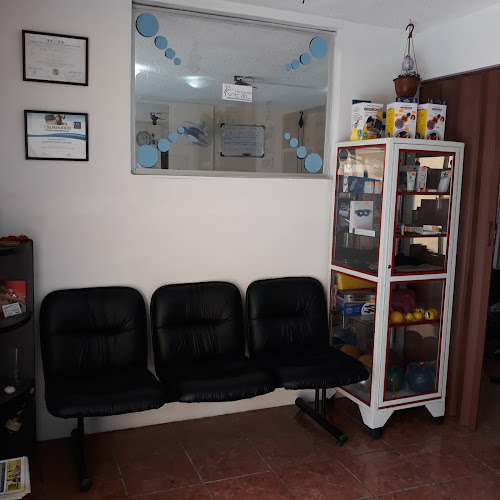Isla Fernandina N43-113 y, Quito 170513