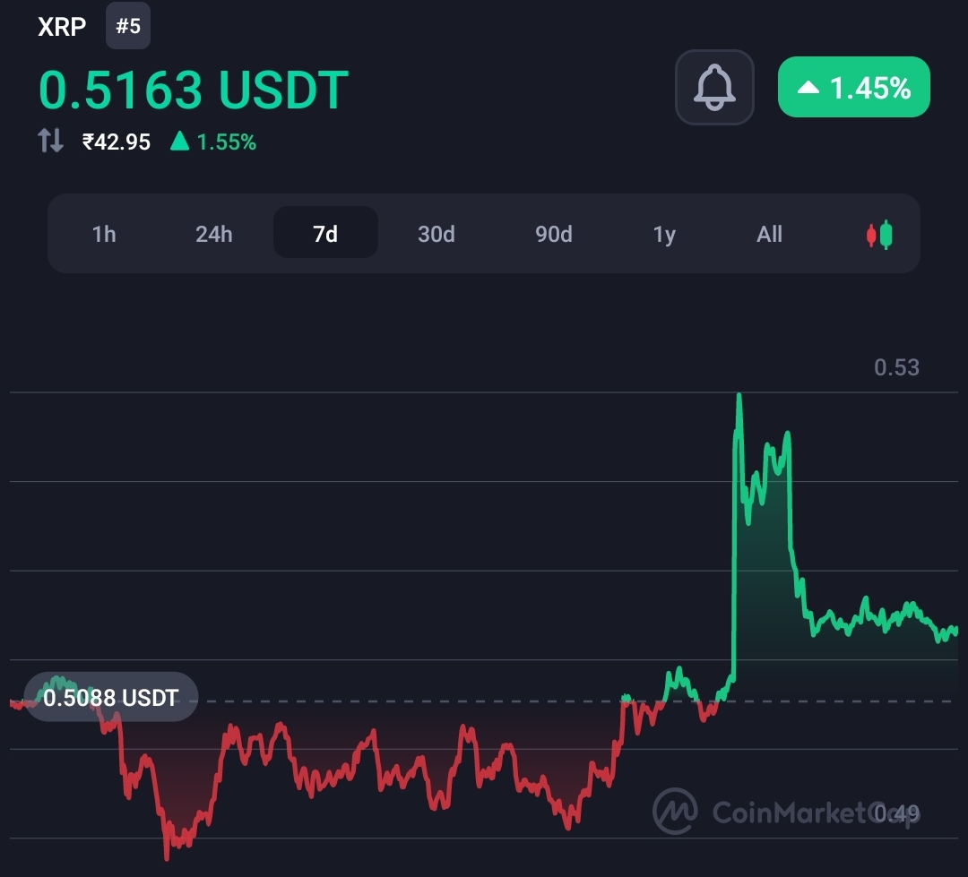 US Crypto Attorney Says The SEC Harmed a Lot of Innocent People 2