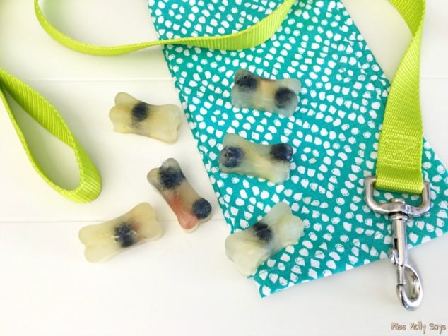 Apple and blueberry dog treats scattered on a table with a dog leash.