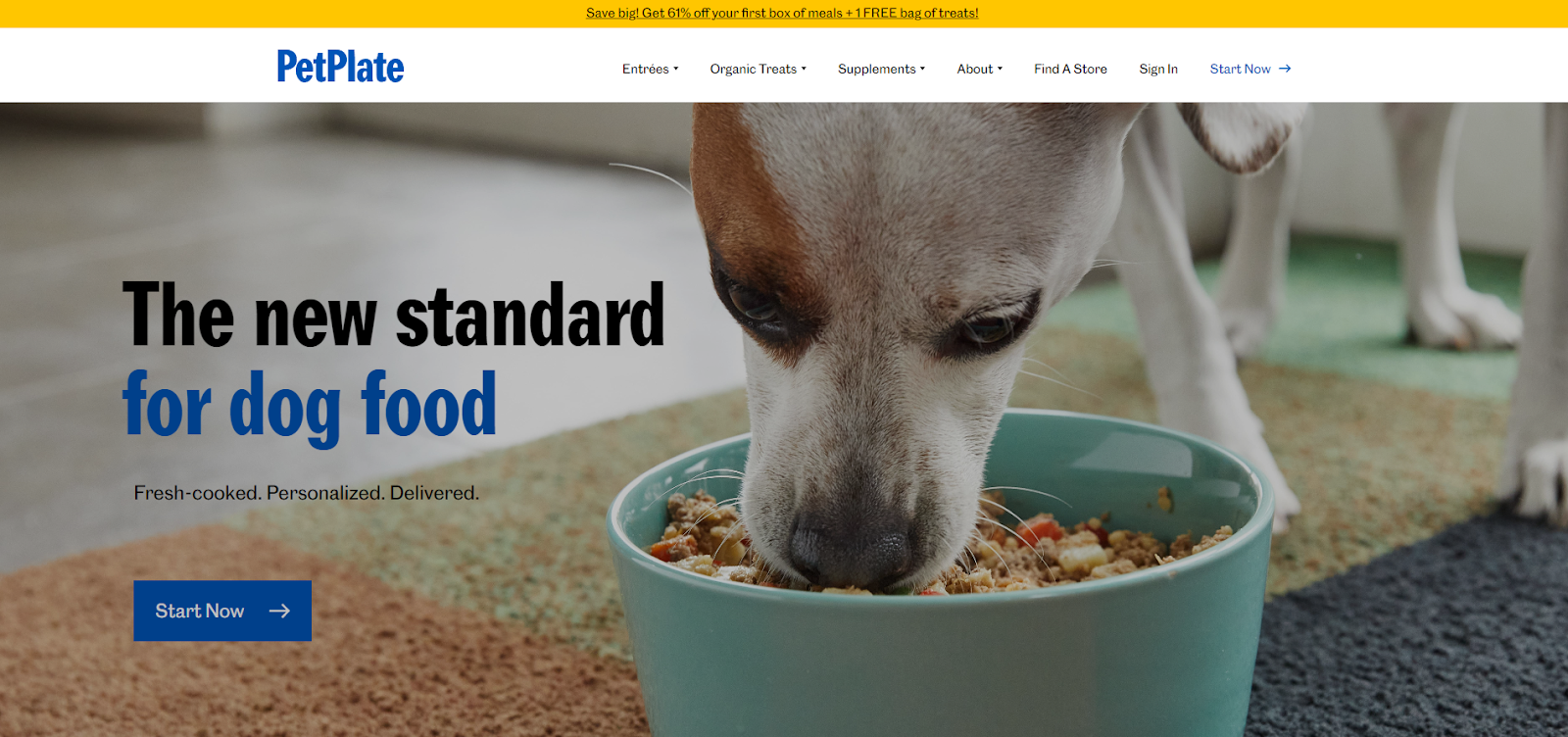best fresh dog food
