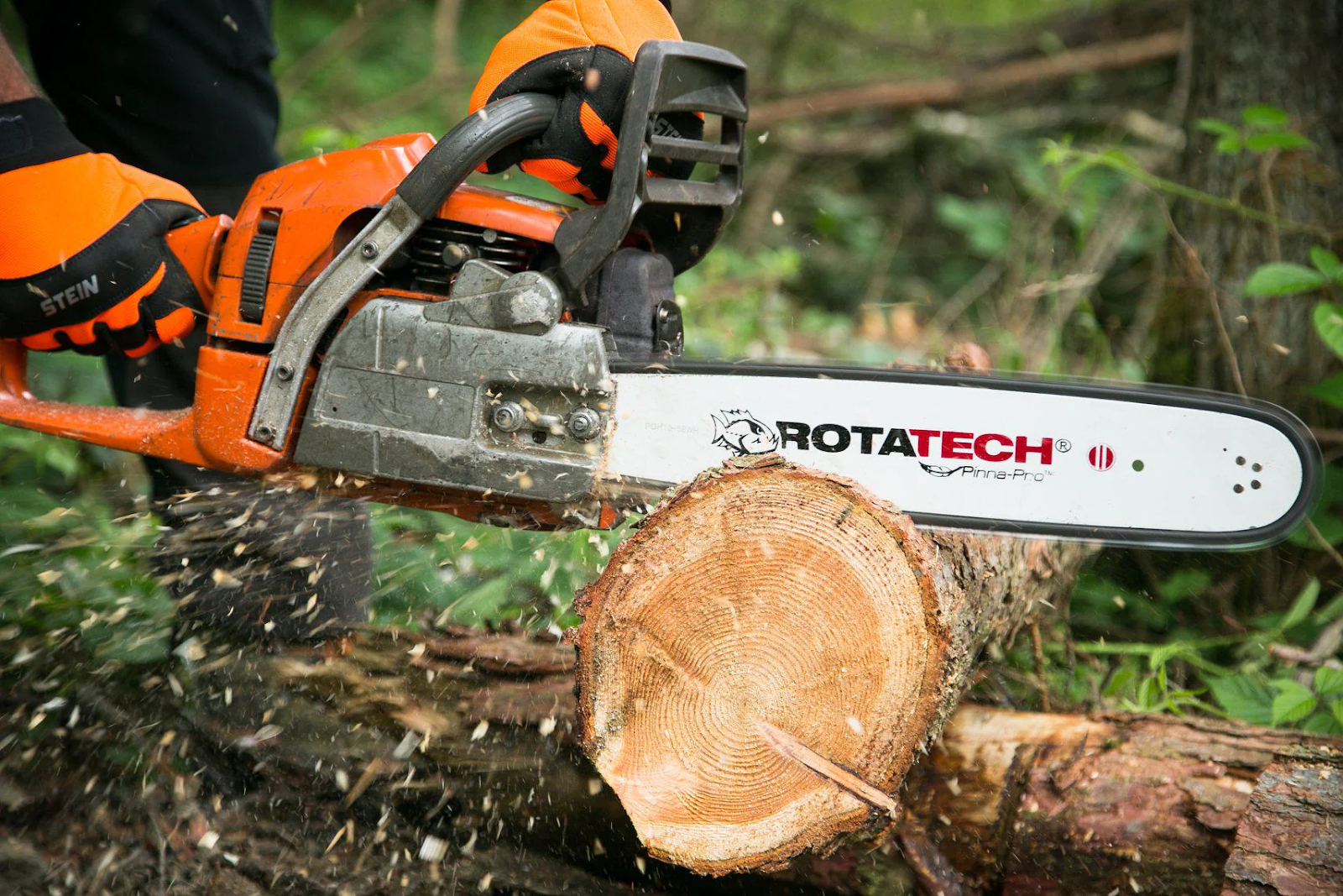 How to clean a chainsaw?