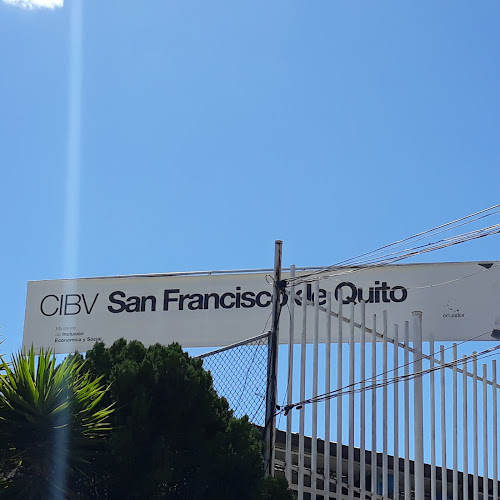 Opiniones de CIBV San Francisco de Quito en Quito - Escuela