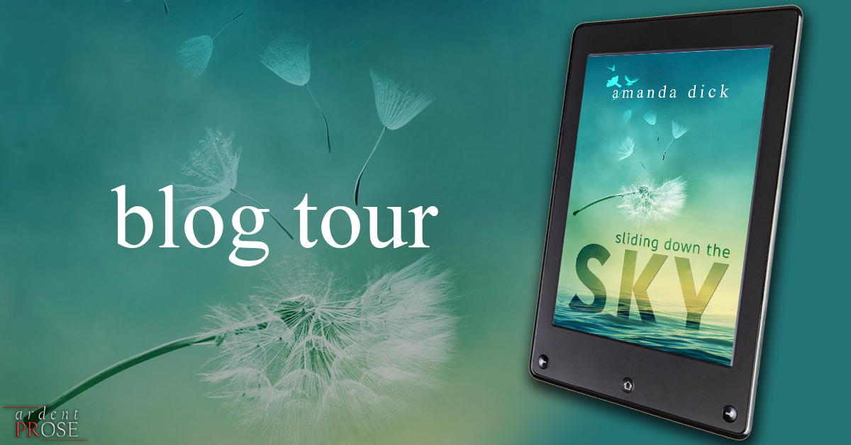 sliding down the sky - blog tour.jpg