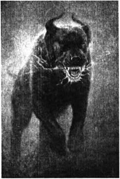 D:\0 wd yedek\acr yedek\1 film indirme\forbidden_magic_ancients_12_dosyalar\image178.jpg