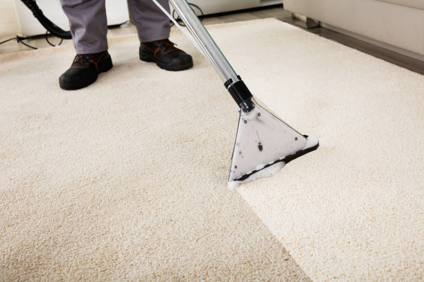 Professional Carpet Cleaning In Brentwood, CA