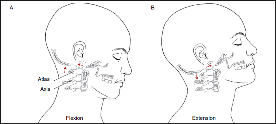 Neck Range of motion in flexion and extension