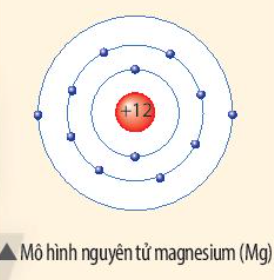 Câu hỏi trang 17 SGK TN&XH 7 CTST tập 1