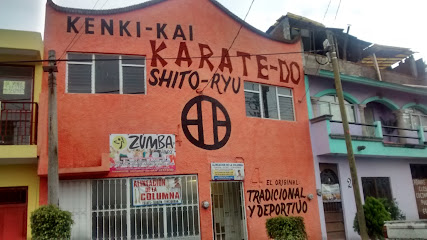 Kenki-Kai Karate-Do - Blvrd De Las Primaveras 34, Prados Verdes, 58110 Morelia, Mich., Mexico