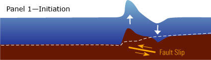 Illustration shows a cross-section of a coastline and the beginnings of a tsunami wave that is caused by an earthquake.