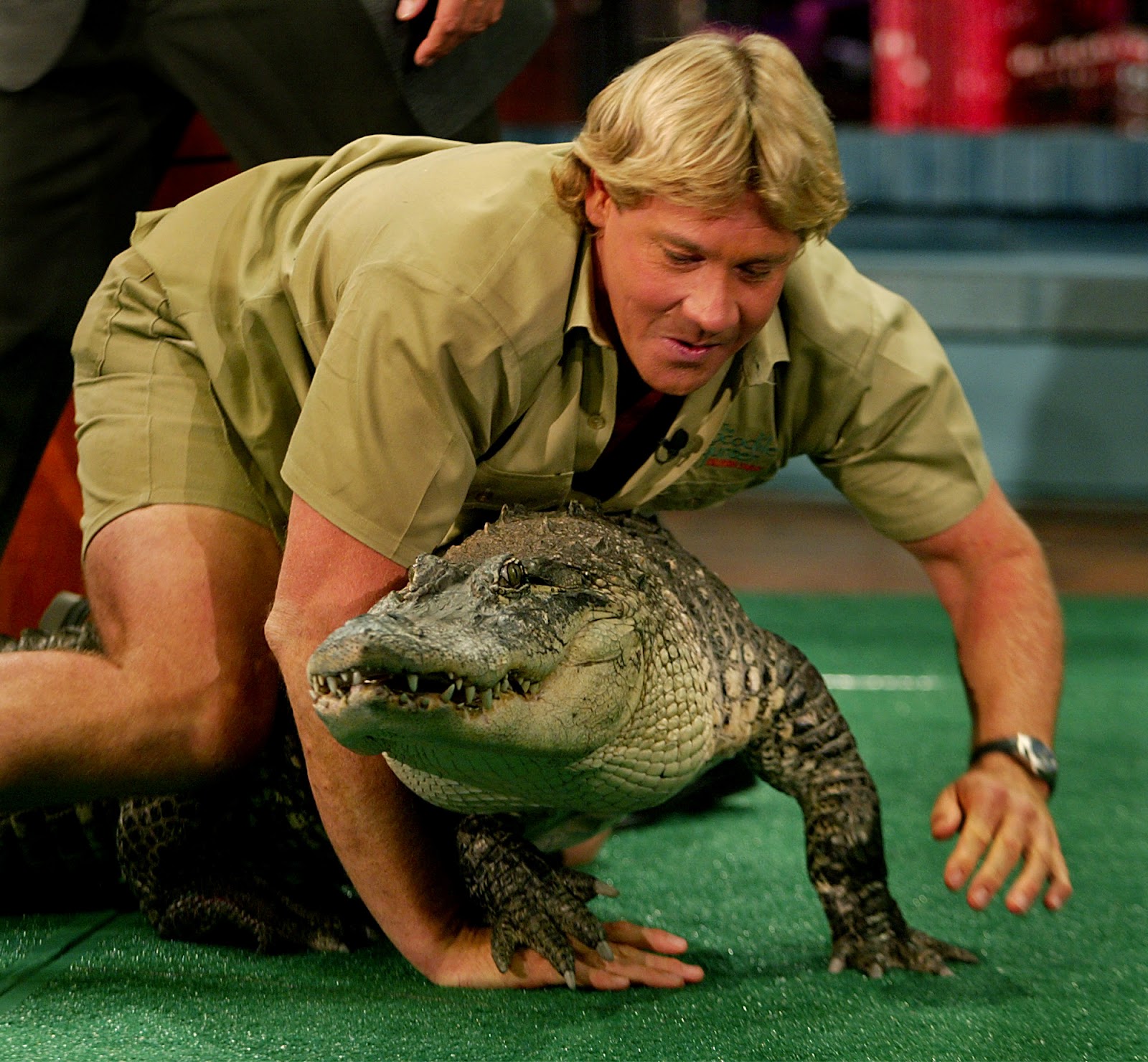 Steve Irwin with a live alligator in 2002. | Source: Getty Images