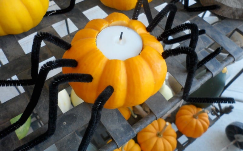 mini pumpkin spider candle holders