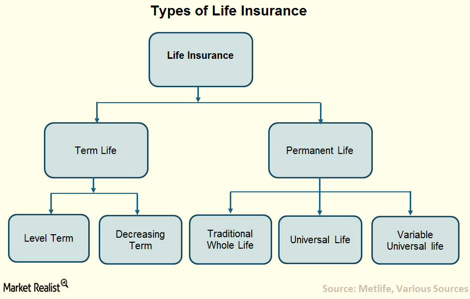 What Are the Different Types of Life Insurance Policies? 