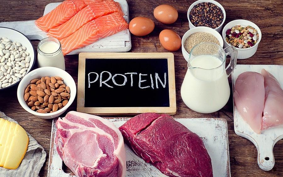 Image result for Protein