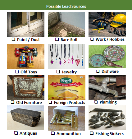 Possible Lead sources: paint/dust, bare soil, work/hobbies, old toys, jewelry, dishware, old furniture, foreign products, plumbing, antiques, ammunition, fishing sinkers. 