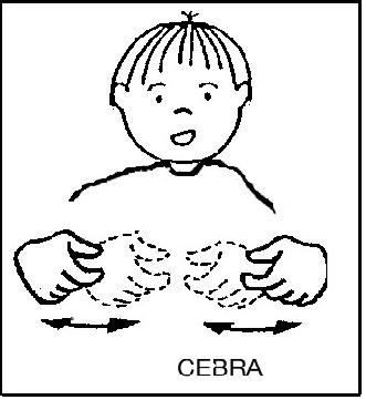 CEBRA.jpg