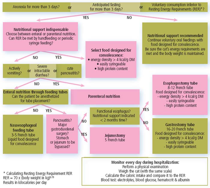 Integrating nutritional support: decision tree