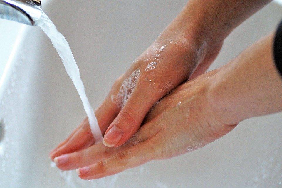 Washing Hands, Wash Your Hands, Hygiene, Net, Soap