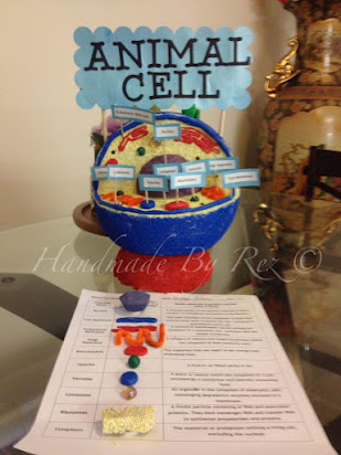 science project animal cells 3d