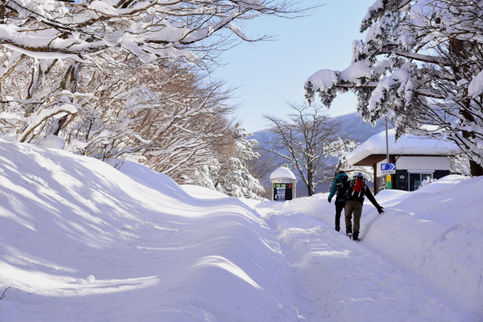 Vẻ đẹp tinh khiết của núi Halla vào mùa đông ở đảo Jeju