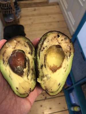 Bad Avocado inside