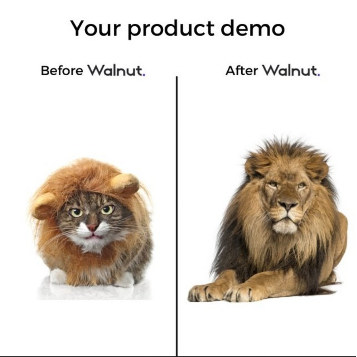 Exemplo de anúncios: Walnut