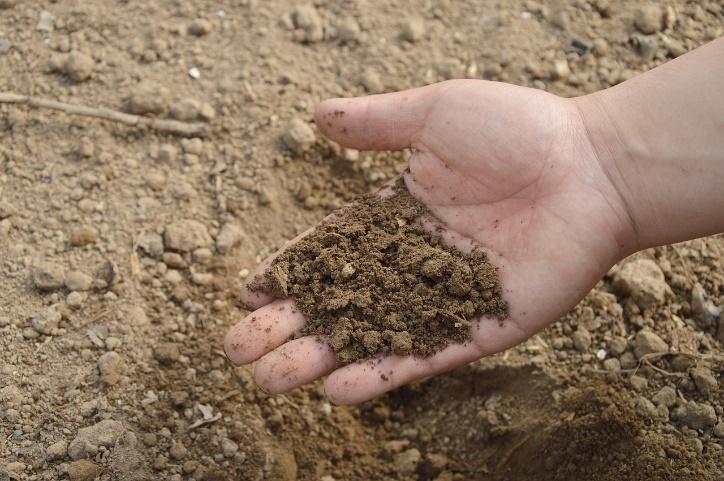Free Soil Hand photo and picture