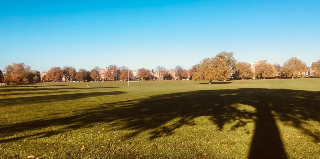Peckham-Rye-Common-in-autumn Peckham-Rye-Common-in-autumn