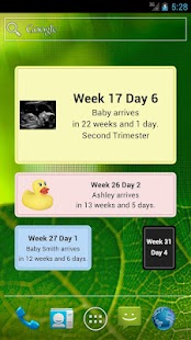 Download Pregnancy Due Date Widget apk