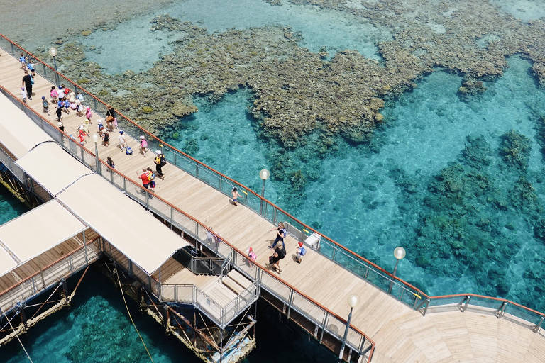 Pessoas em uma passarela de madeira em cima do oceano ao lado de corais
