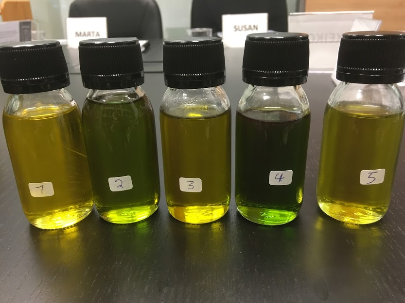 Different samples of olive oil. ESAO Image Bank