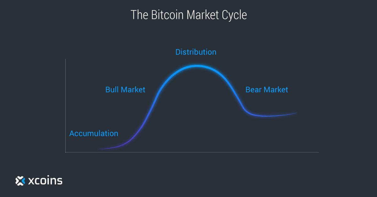 Infographic showing Bitcoin Market Cycle with Xcoins logo on the side