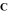 https://docs.google.com/drawings/d/s-MgcaXCoAhewMOQclXAdUg/image?parent=e/2PACX-1vT-kd3jZnDxoFKrbjz0bV9P1tAORL_WwqxyfR81qs1DCzNya4gnJpdE1UMJLzd7oA&rev=1&drawingRevisionAccessToken=dW4_mRQ2NXvXUw&h=14&w=11&ac=1