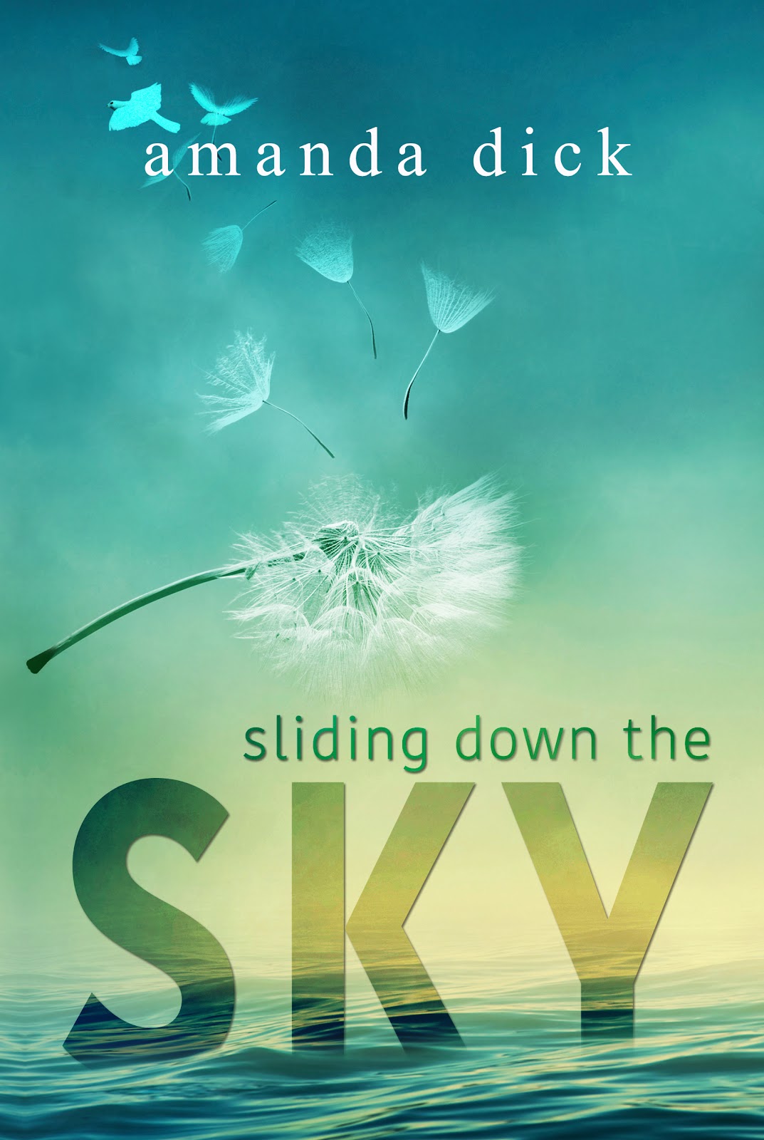 Sliding Down the Sky_ebook.jpg
