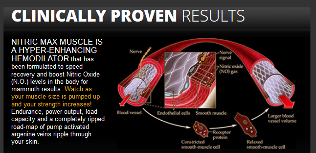 nitric max muscle reviews