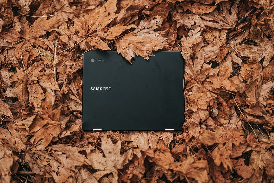 This image shows the Samsung Chromebook in the leaf.